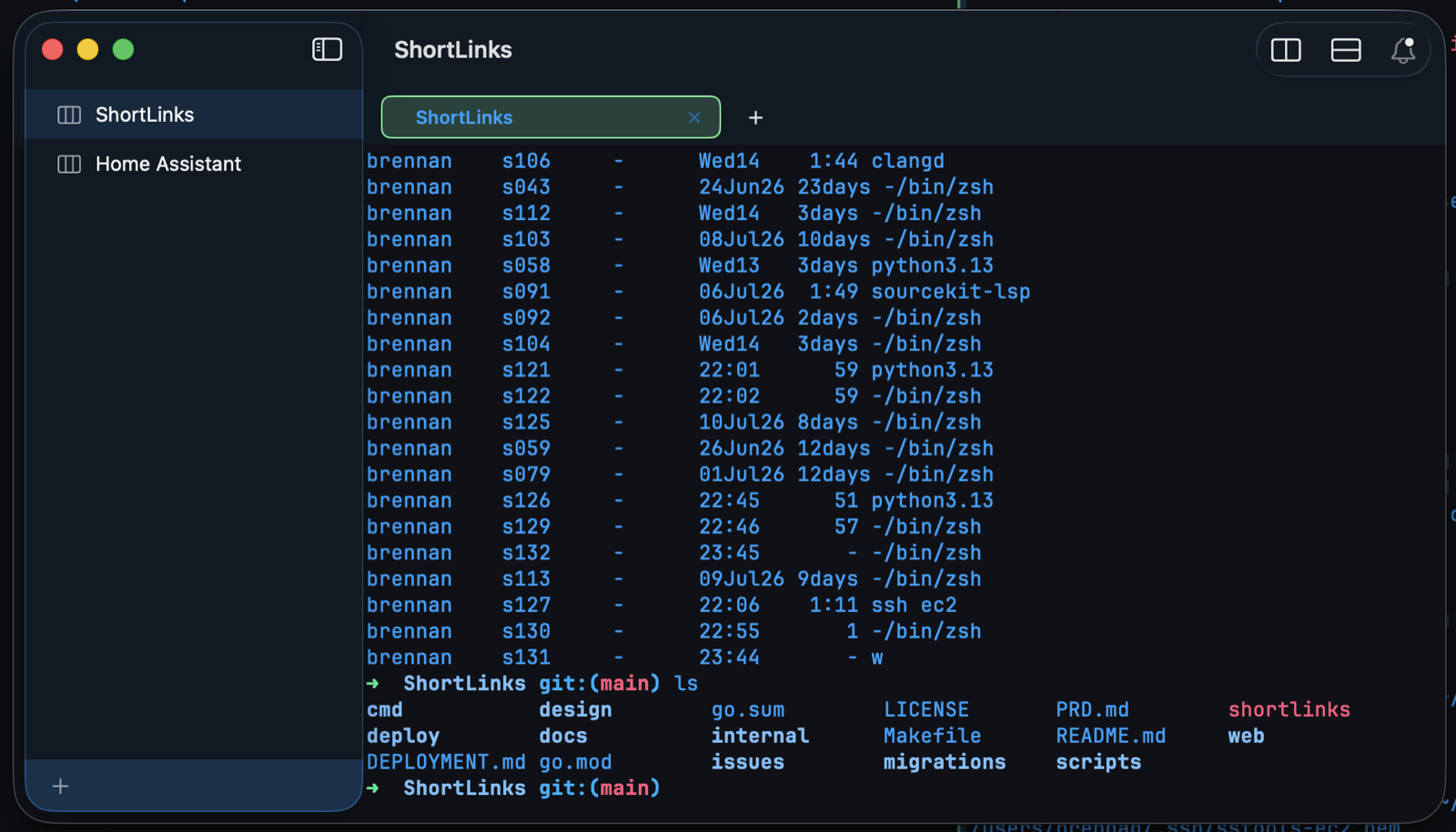 Screenshot of the Batty macOS app showing sessions, panes, and tabs